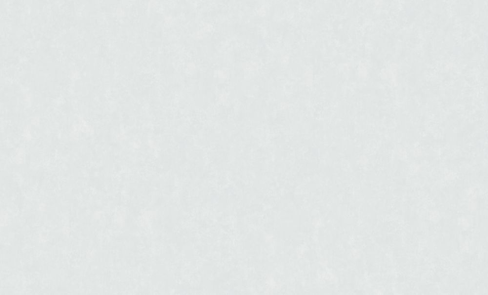 Обои Обои Erismann 61060-03 Концепт