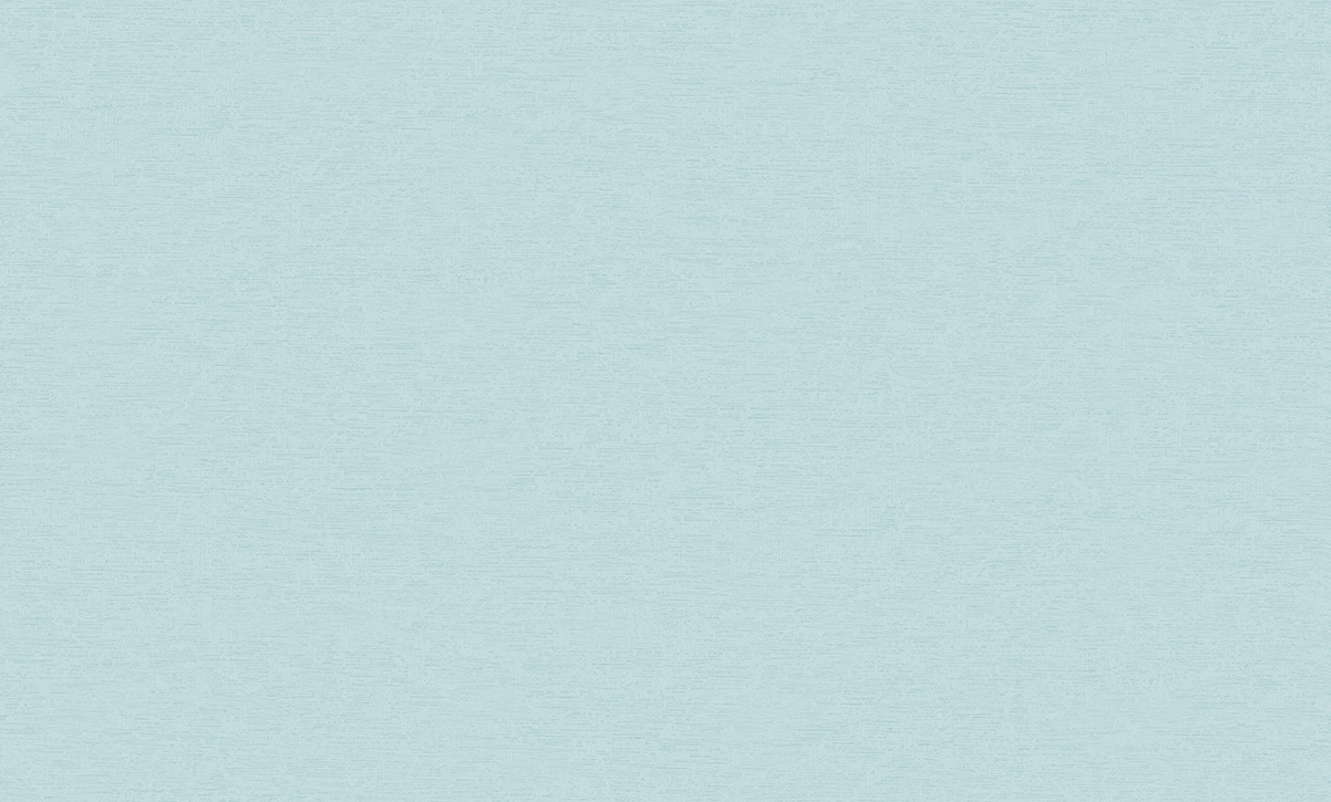Обои Erismann 60420-04 Federica